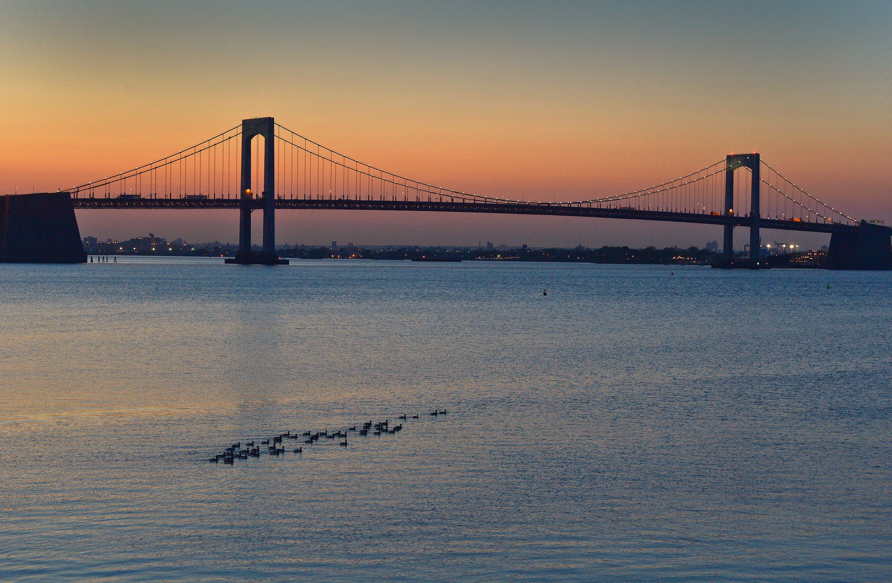 A bridge stretches across a body of water with a sunset visible in the background and waterfowl in the foreground.
