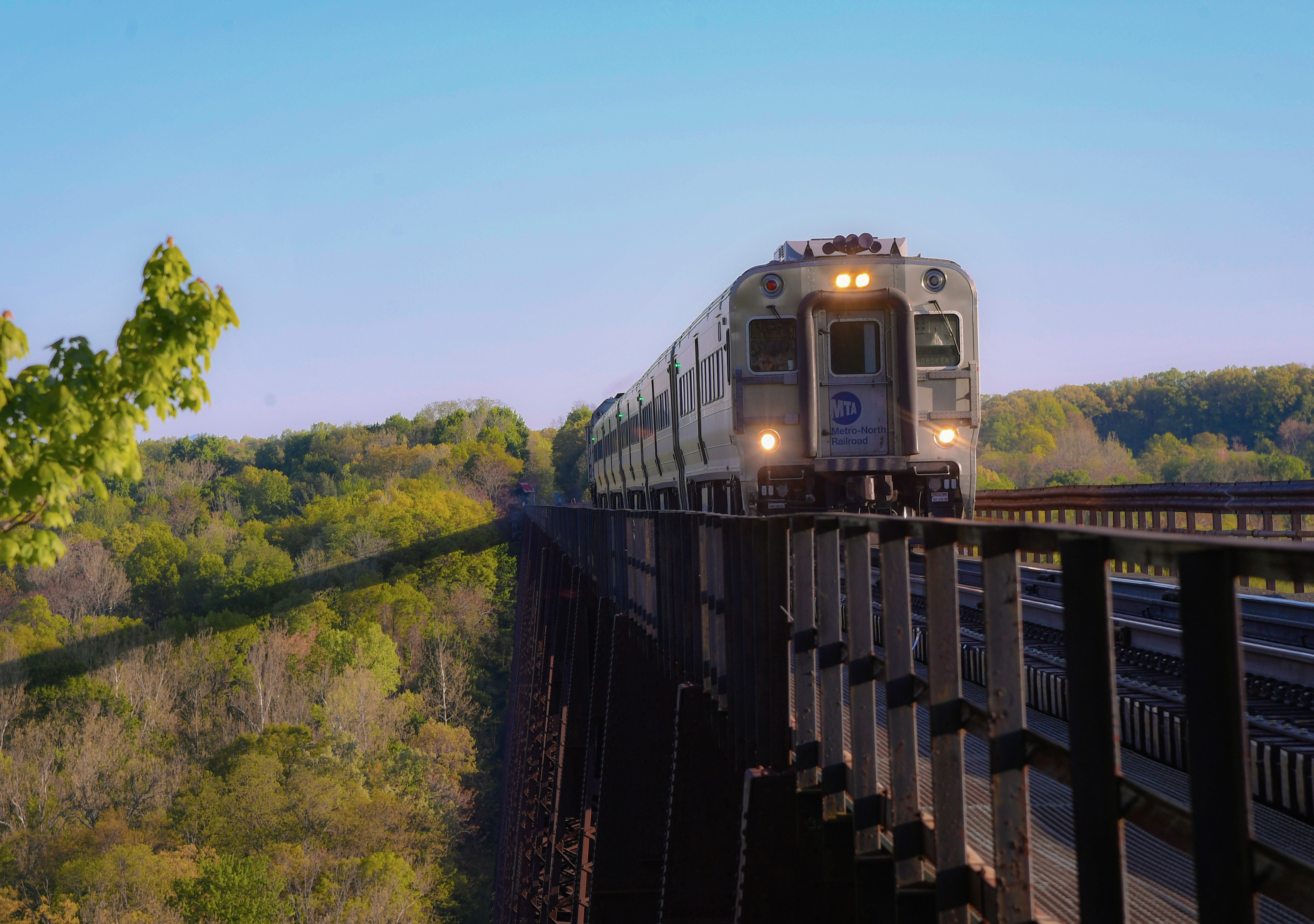 Train traveling over viaduct