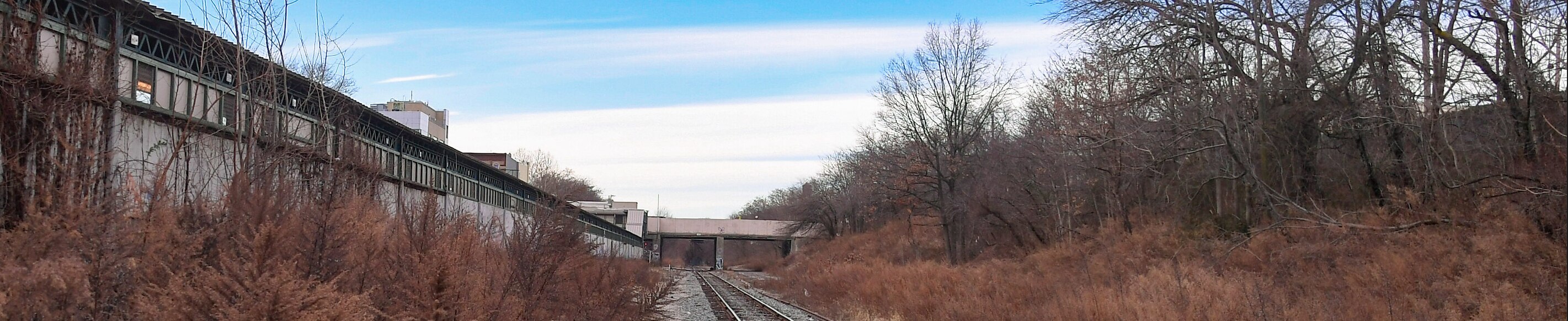 An abandoned rail line surrounded by trees