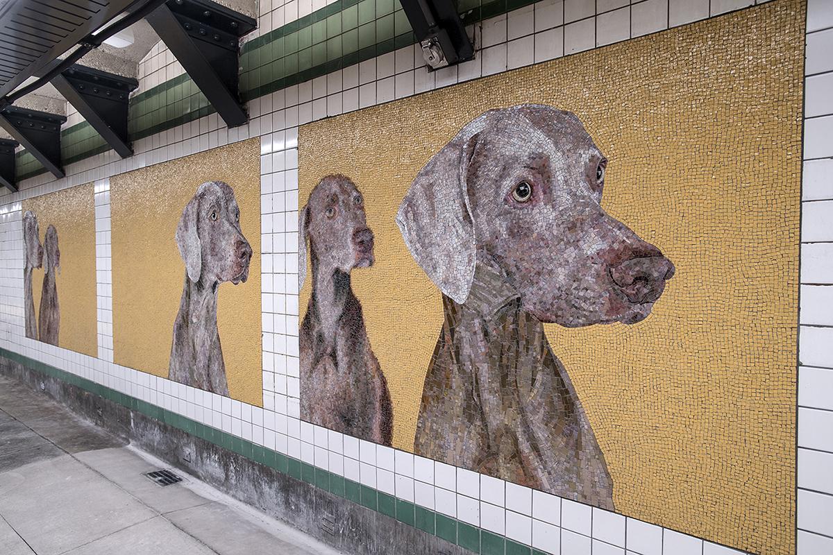 A photograph featuring an angled view of artwork panels with multiple dogs looking to their right side. The dogs are situated on a yellow background.  