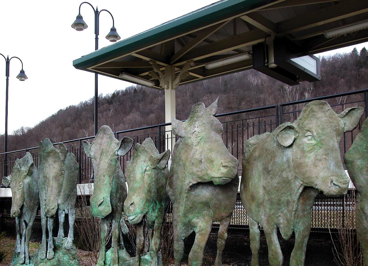 Artwork in cast bronze by Ann Huibregtse showing life size cows outdoors near the platform stairs. 