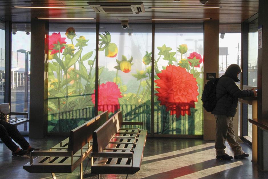 Photograph of laminated glass artwork on the walls of the LIRR Deer Park station house. Photo taken from inside with light shining through large pink dahlias of artwork as backdrop to waiting area with benches and person standing on right.