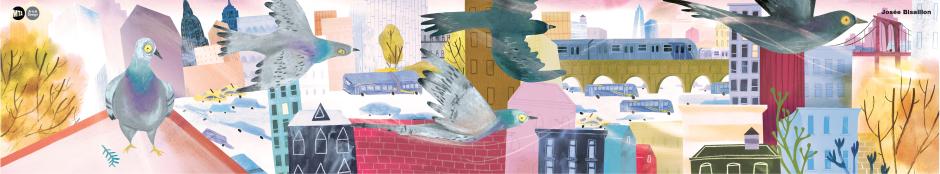 Illustration of pigeons flying across colorful New York buildings